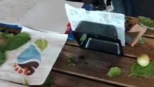 Presentatie-van-curriculum-2