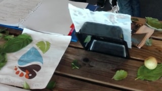 Presentatie-van-curriculum-2
