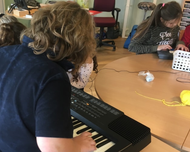 bs De Meerkoet muziekles de Blues