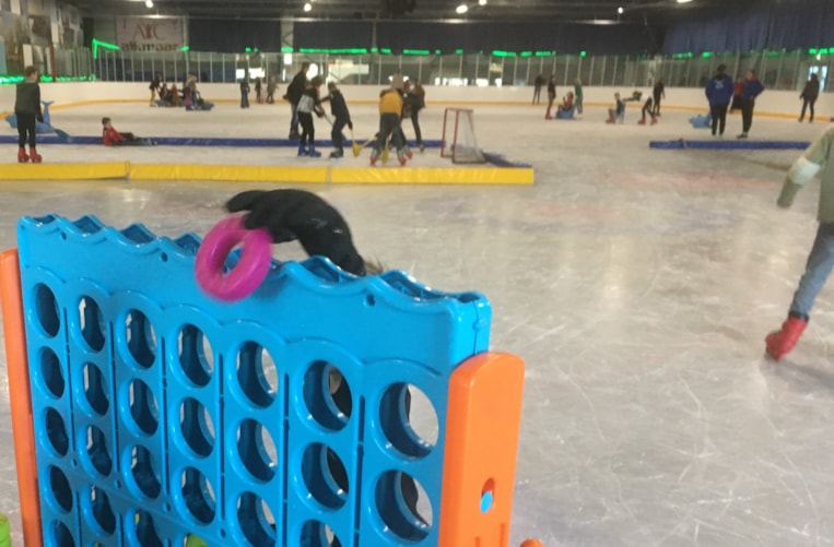 ICE GAMES De Meerkoet 3
