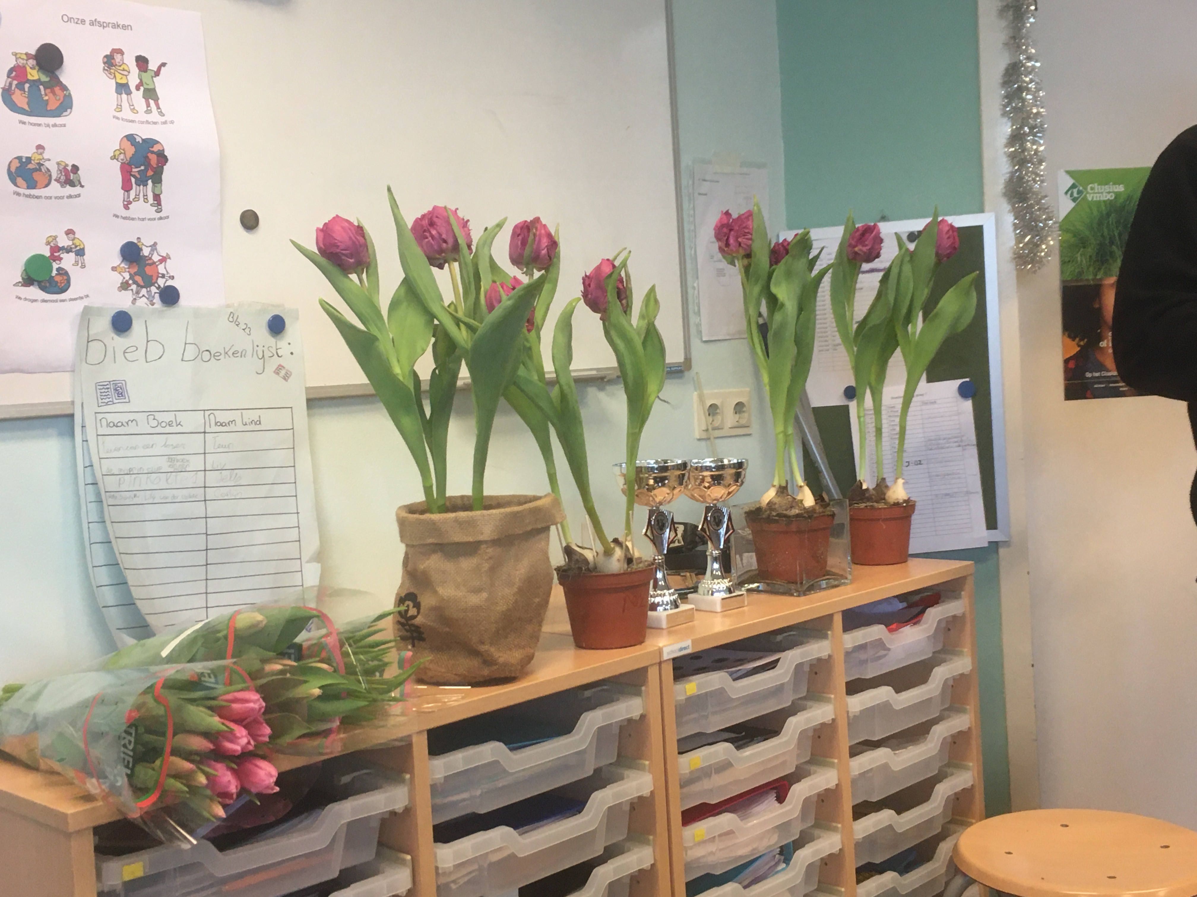 Uitslag tulpenkeuring groepen 7 en 8 