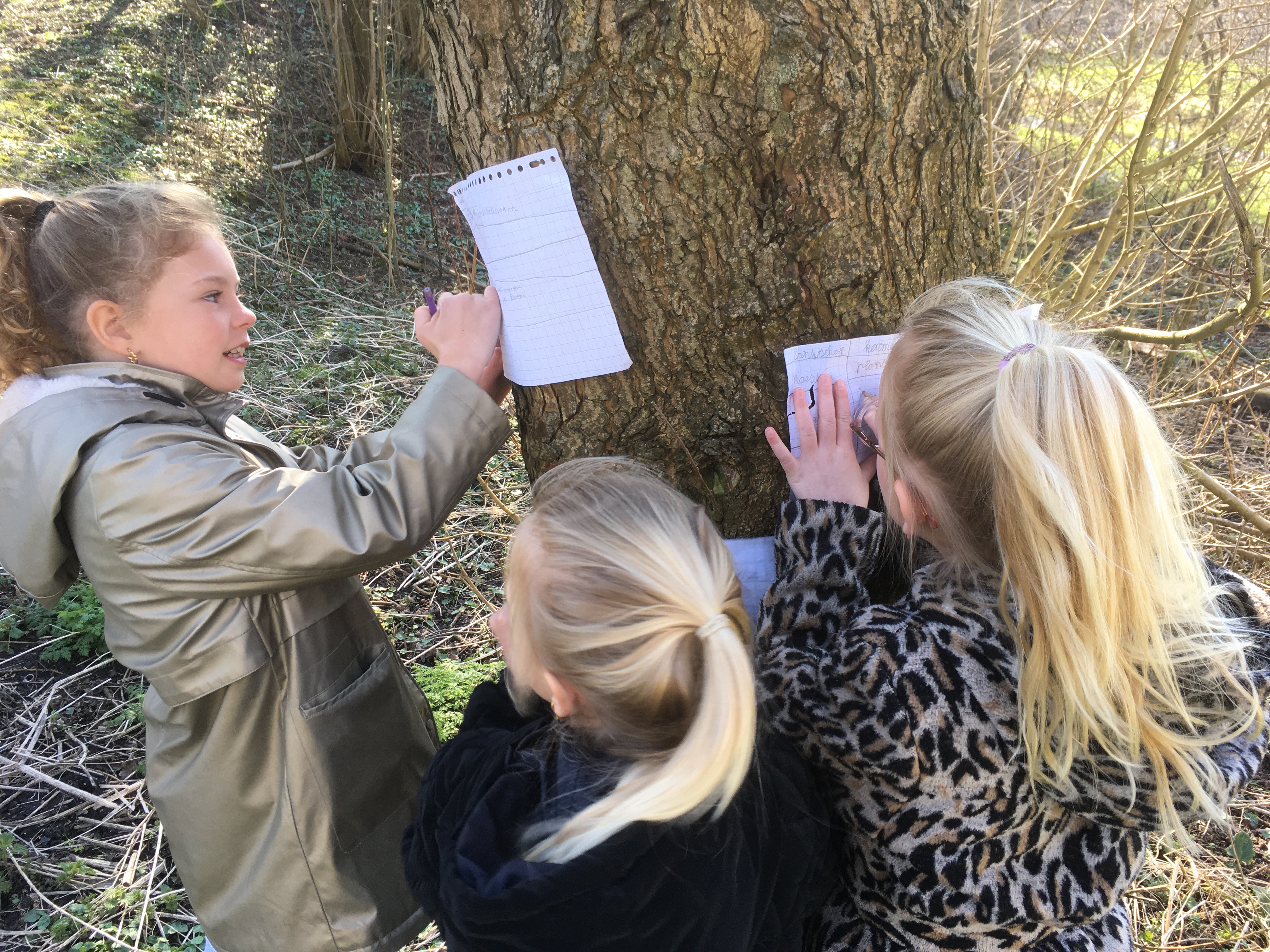 Project : De natuur in Nederland