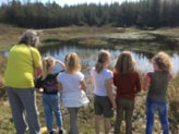 De Meerkoet Petten kikkers