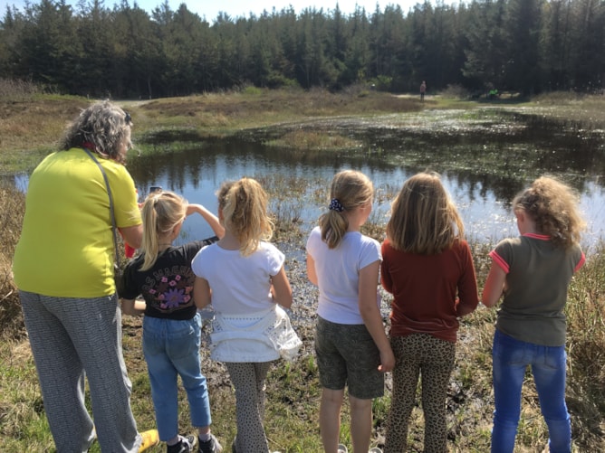 De Meerkoet Petten kikkers