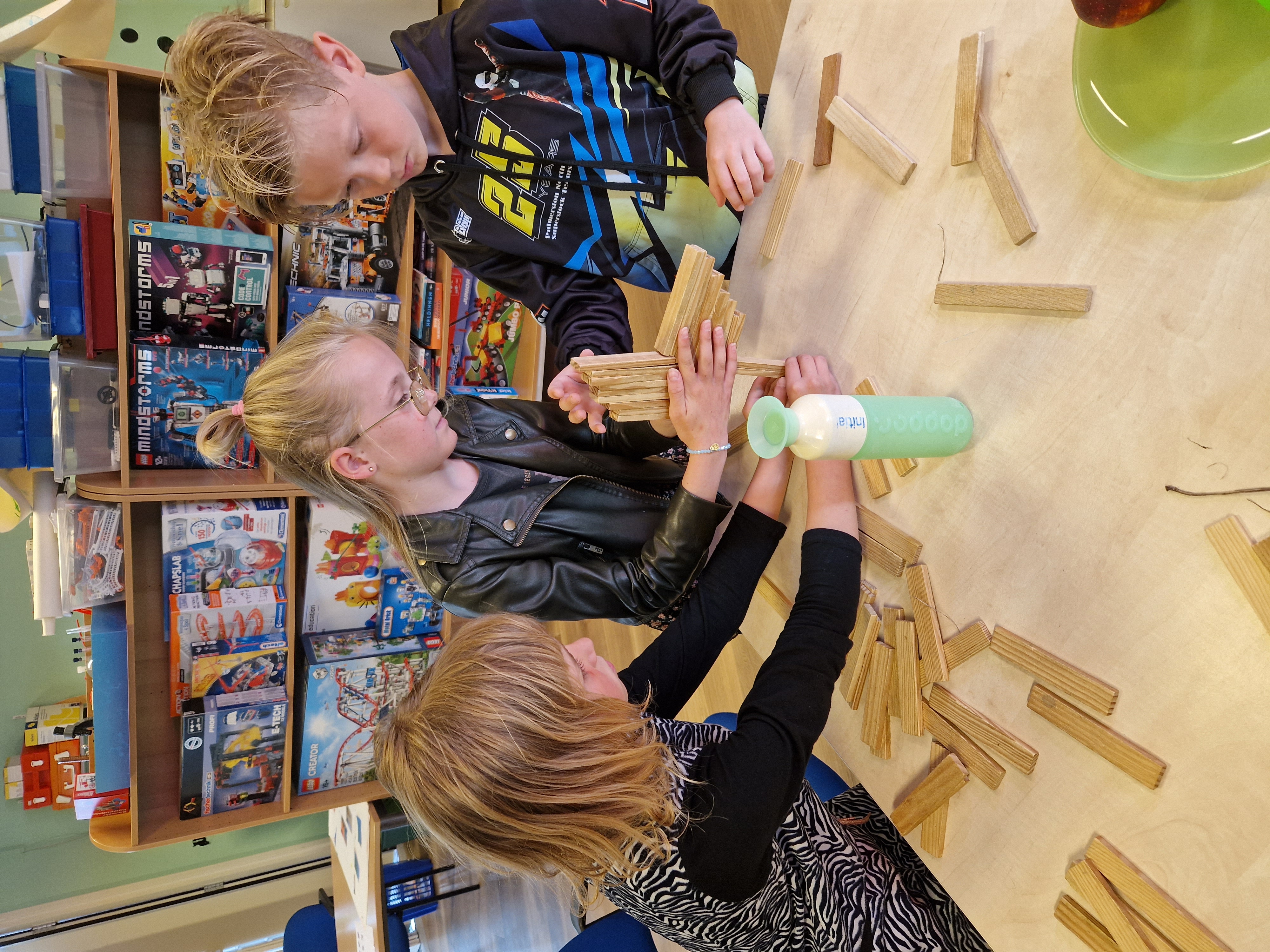 Kapla challenge