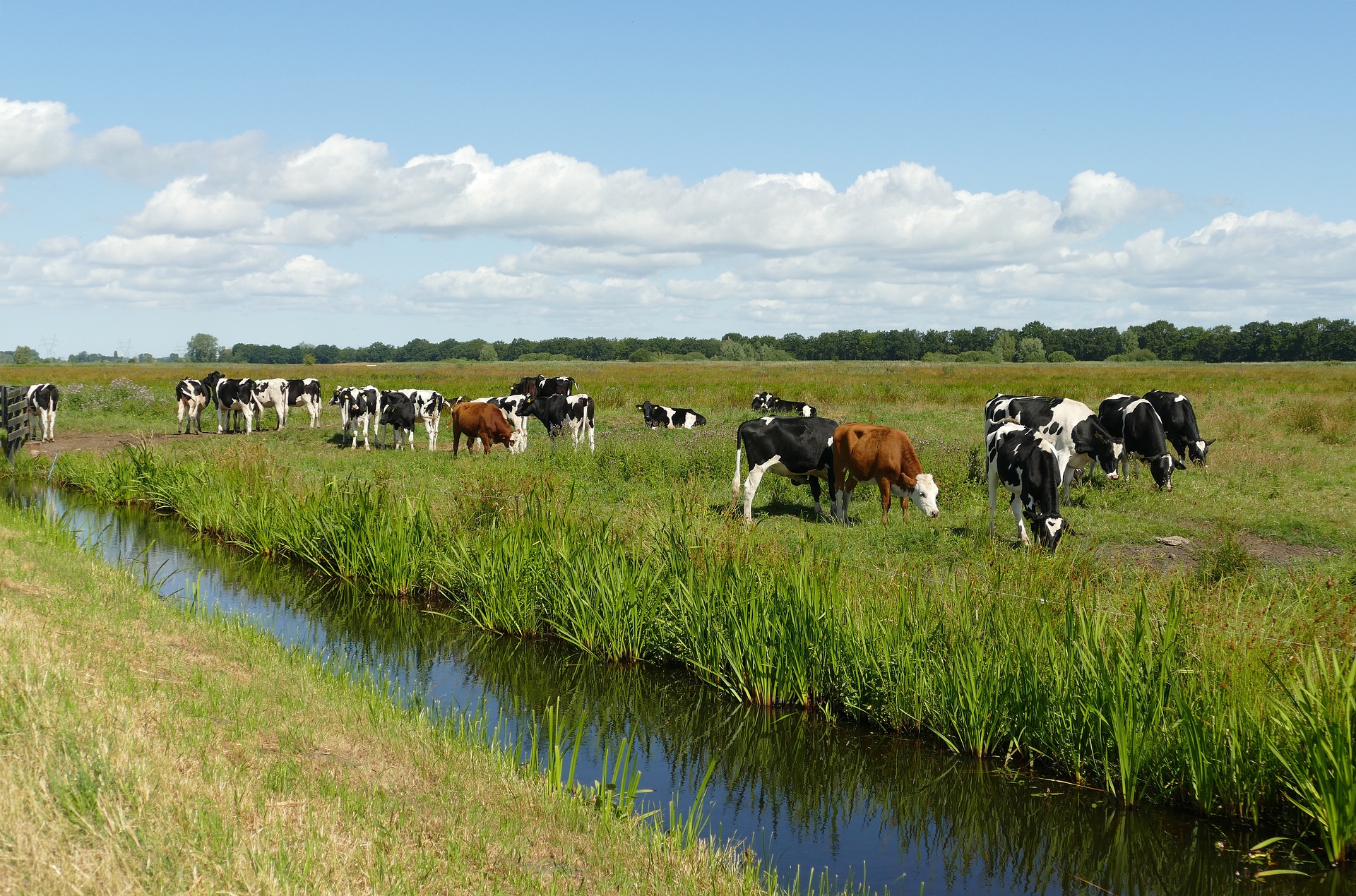 'Oude koeien uit de sloot halen'