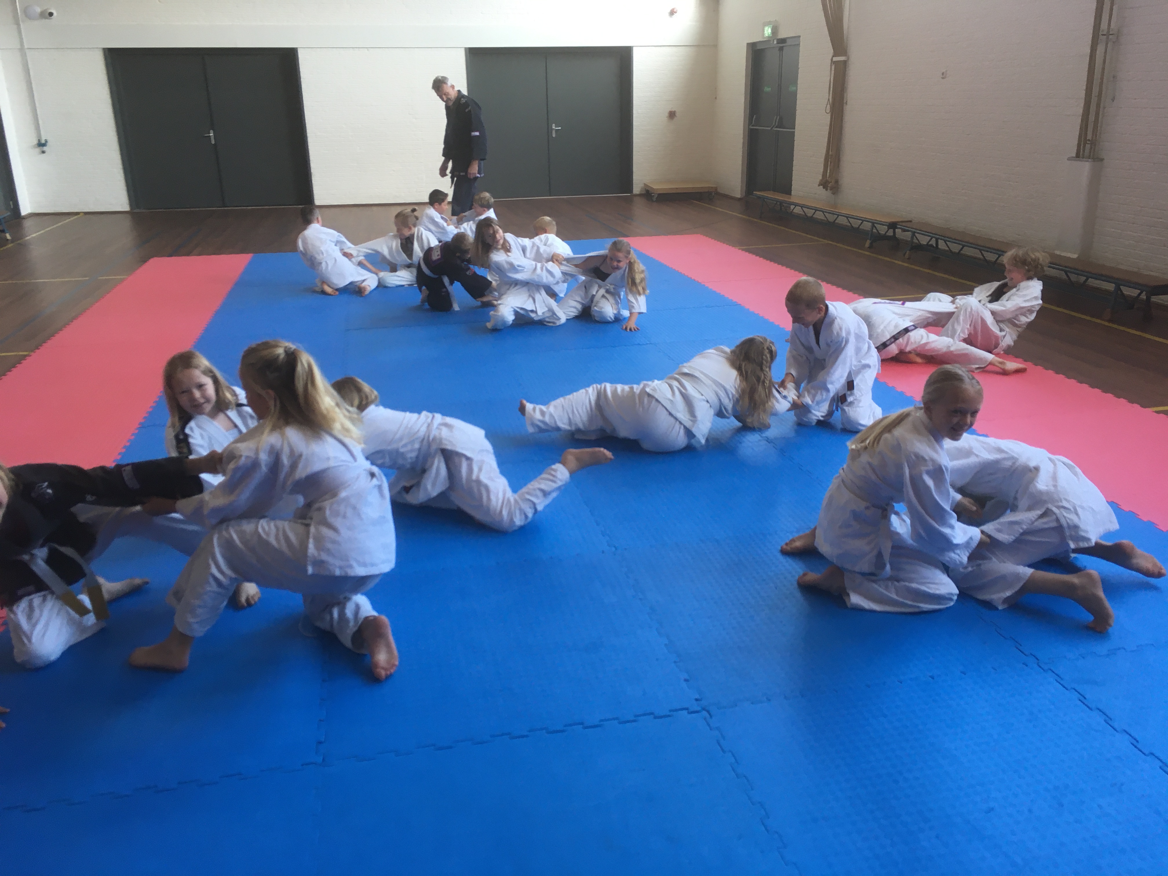 Weerbaarheidstraining