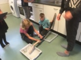 De Meerkoet Waterbaan 8