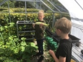 De Meerkoet groentes in eigen kas 3