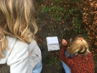 Deel 3 Zweeds loopspel