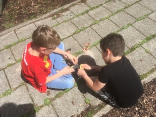 De Meerkoet prehistorische kunst 2