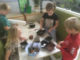 De Meerkoet prehistorische kunst 4