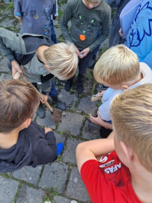 De Meerkoet Stoeptegels eruit!