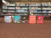 Koele boeken zoeken De Meerkoet groep 5-6