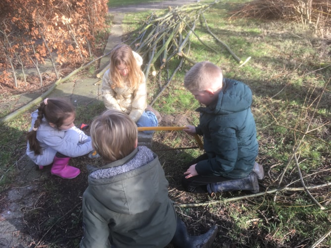 De Meerkoet DMTT wilgentakken afzagen voor onze nieuwste tuin 2