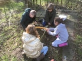 De Meerkoet DMTT wilgentakken afzagen voor onze nieuwste tuin 3