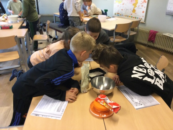 De koekenbakkers De Meerkoet 1