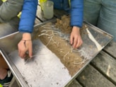 Zuiderzeemuseum Watertoppers! 13